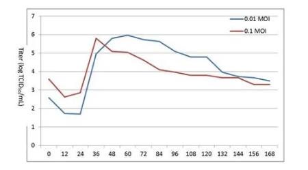 小反芻獸疫病毒生長(zhǎng)曲線繪制及生長(zhǎng)特性分析