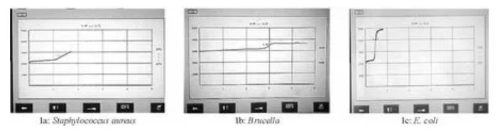 ?布魯菌血培養(yǎng)儀結(jié)果及生長曲線特點(diǎn)研究