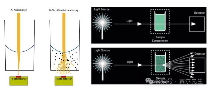 ?OD600是什么意？OD600測量細(xì)胞濃度的原理