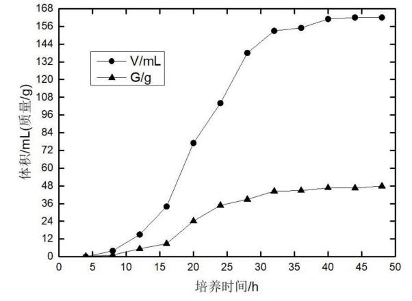 絲狀真菌生長曲線測定方法及其測定裝置
