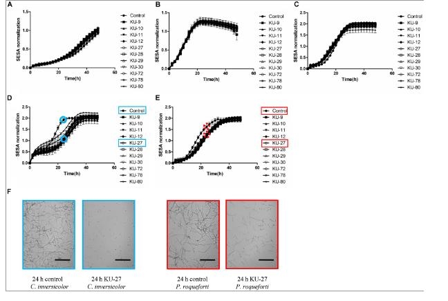 源自丹麥奶酪鹽水的天然漢森德巴利菌菌株生長曲線及抗真菌活性
