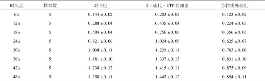 探究P2Y2受體在人宮頸癌細胞（Hela細胞）增殖過程中的作用