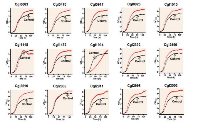 微生物生長曲線分析儀應(yīng)用：篩選賴氨酸高滲透壓條件過表達(dá)提高生長基因