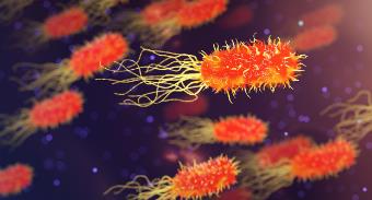 食源性致病菌生長延滯期的生理標(biāo)記