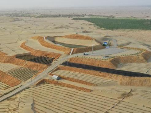 ?沙漠微生物菌株的應(yīng)用價值有哪些