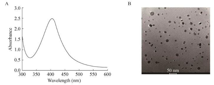 納米銀的制備方法及對(duì)小麥赤霉病菌抗菌活性的影響（一）