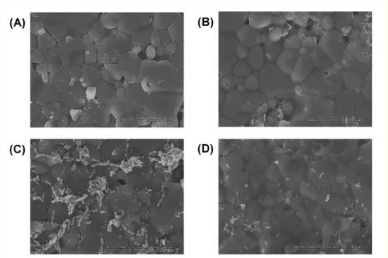 棉子糖抑制變異鏈球菌生物膜形成機(jī)制研究進(jìn)展（二）