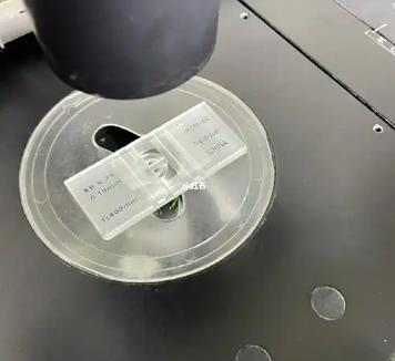 尿路感染患者尿常規(guī)檢驗時，如何對細菌計數(shù)？