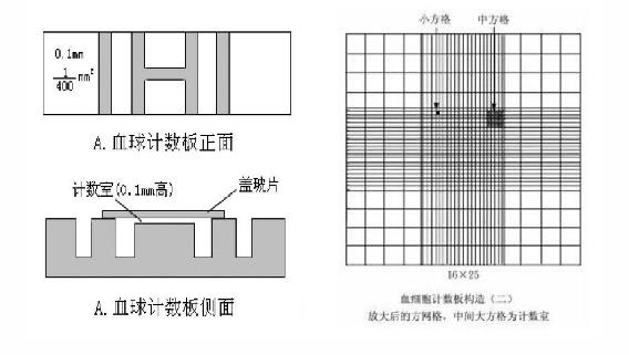 顯微鏡直接計(jì)數(shù)法應(yīng)用于原料乳細(xì)菌總數(shù)計(jì)算