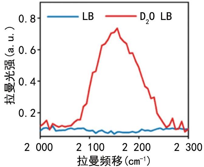 快速藥敏檢測(cè)方法、發(fā)展現(xiàn)狀|拉曼光譜在RAST領(lǐng)域中的應(yīng)用（一）