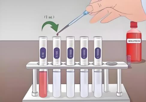 細(xì)菌懸液中活菌濃度的檢測(cè)方法：平板點(diǎn)樣技術(shù)VS傳統(tǒng)平板涂布法