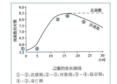 細(xì)菌生長(zhǎng)曲線時(shí)期劃分、生長(zhǎng)繁殖條件及規(guī)律