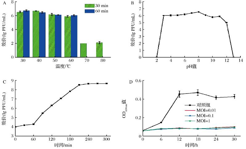 空腸彎曲菌噬菌體生物學(xué)特性測定及生長曲線繪制（二）