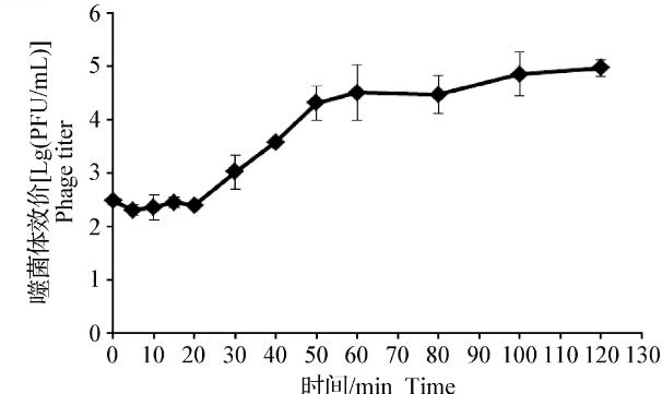 維氏氣單胞菌分離與純化、一步生長曲線、熱穩(wěn)定性及pH穩(wěn)定性研究（二）