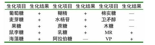 水貂李氏桿菌的分離鑒定、生化試驗、藥敏實驗、毒力試驗——材料與方法