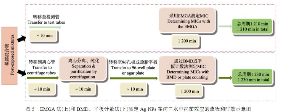 微生物生長曲線監(jiān)測儀測定納米銀對副溶血弧菌的最小抑菌濃度（三）