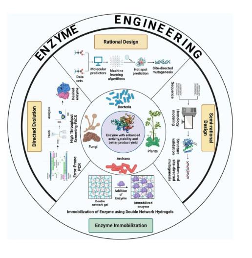 極端微生物和極端酶的分離過(guò)程與潛在應(yīng)用
