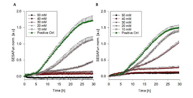 微生物生長(zhǎng)曲線系統(tǒng)評(píng)估黑曲霉孢子在不同銅離子濃度下的生長(zhǎng)情況
