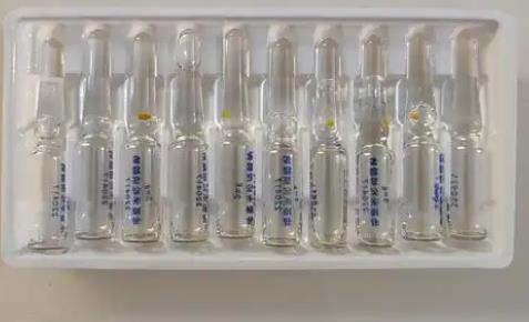 一種獸藥水針劑的簡(jiǎn)易快速藥敏試驗(yàn)方法