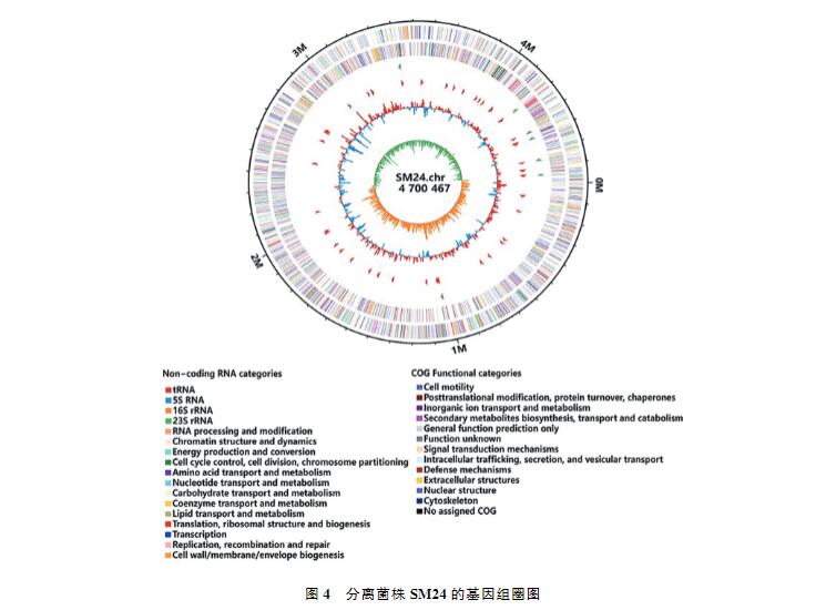 雞印第安納株沙門菌生長、致病性及藥物敏感性研究（三）