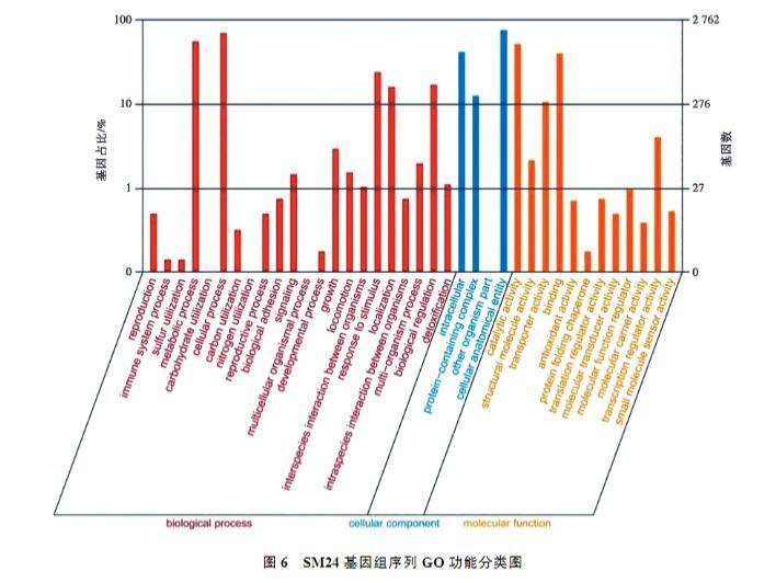 雞印第安納株沙門菌生長、致病性及藥物敏感性研究（四）
