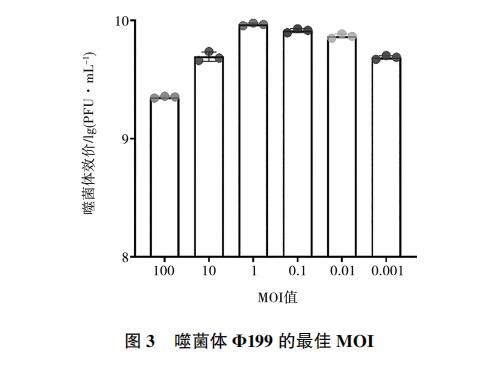 大腸桿菌噬菌體Φ199一步生長(zhǎng)曲線、與鹽酸克林霉素體外聯(lián)合應(yīng)用效果（二）