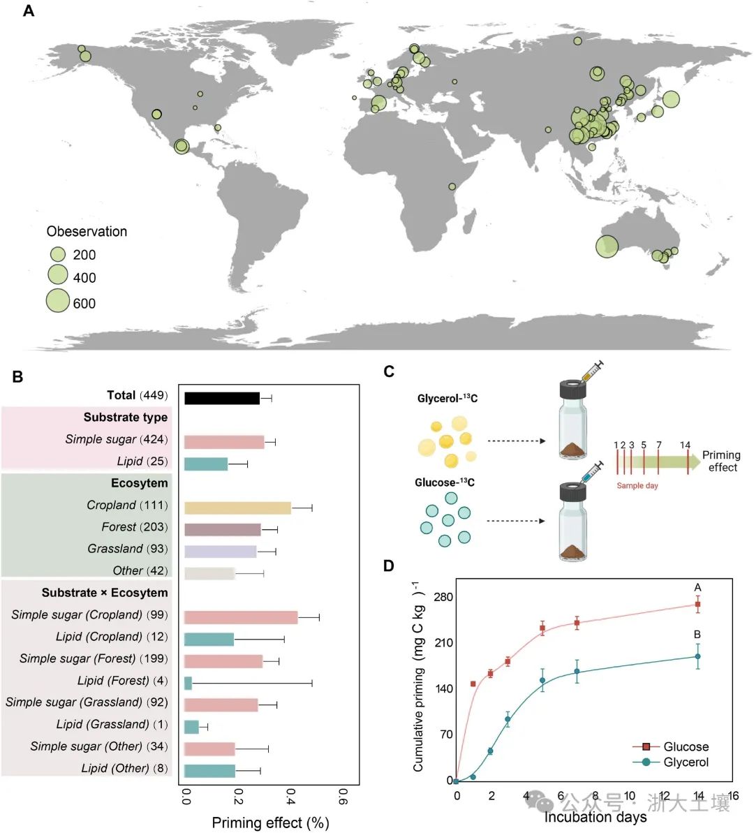 糖類與脂類碳源引發(fā)激發(fā)效應(yīng)的差異及其微生物調(diào)控機(jī)制