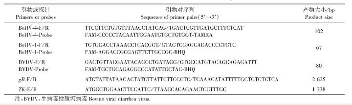 國內(nèi)新發(fā)病原牛皰疹病毒4型(BoHV-4)qPCR鑒定、分離及一步生長曲線測定（一）