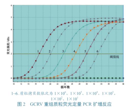 草魚呼腸孤病毒培養(yǎng)與滴度測定、及在草魚、CIK細胞上的生長特性研究（三）