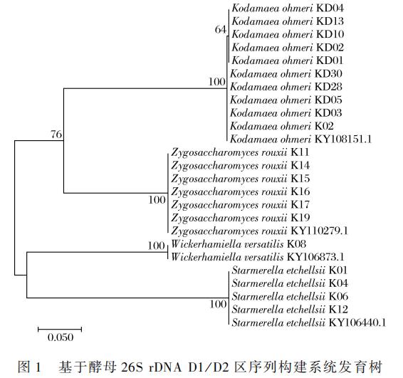 3株奧默柯達(dá)酵母生長(zhǎng)曲線、pH耐受性、最適生長(zhǎng)溫度測(cè)定及對(duì)醬油香氣和滋味影響（一）