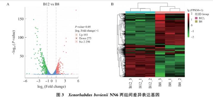 轉(zhuǎn)錄水平解析昆蟲(chóng)病原線蟲(chóng)共生菌菌株新型殺菌蛋白PPIA-L20基因表達(dá)調(diào)控——材料與方法