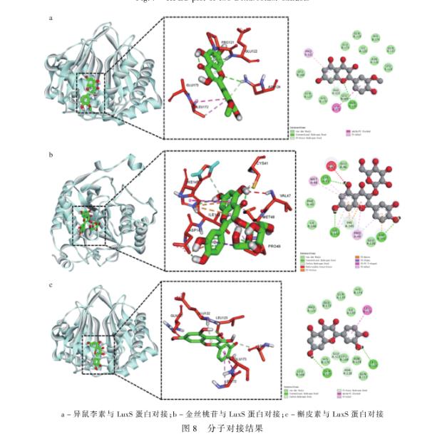 鐵皮、疊鞘石斛提取物對沙門氏菌生長狀況、群體運動的影響——結(jié)論與討論、結(jié)論