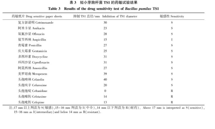 牦牛源短小芽孢桿菌生長(zhǎng)曲線測(cè)定及藥敏試驗(yàn)、體外抑菌結(jié)果解讀（三）