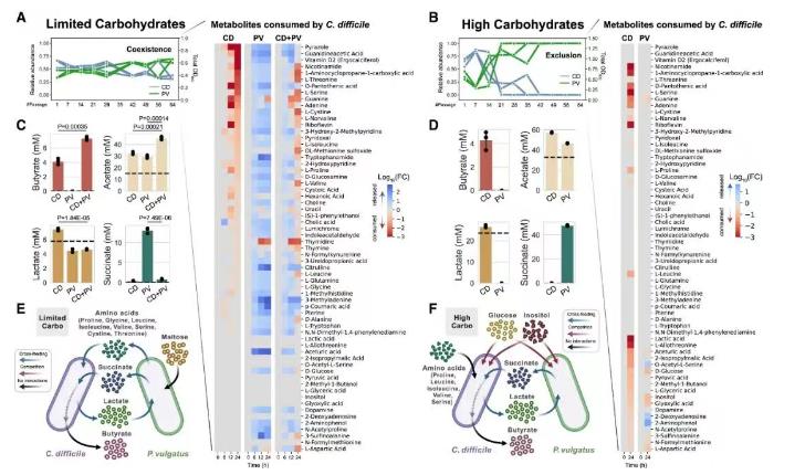 量化人類(lèi)腸道菌種對(duì)艱難梭菌長(zhǎng)期生長(zhǎng)的影響（二）