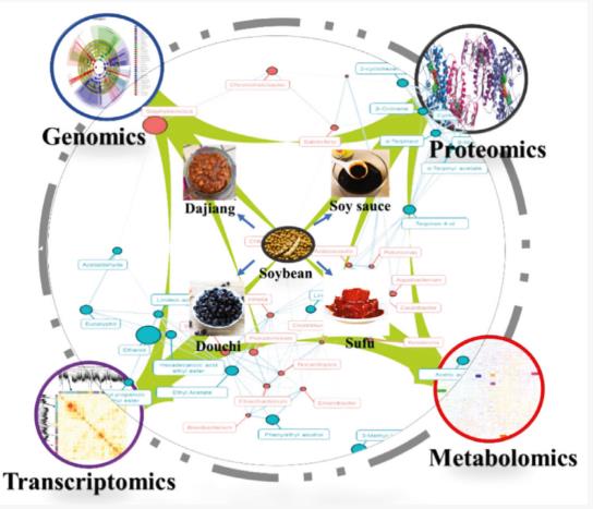 發(fā)酵豆制品基本生產(chǎn)工藝、微生物區(qū)系和風(fēng)味的研究進(jìn)展