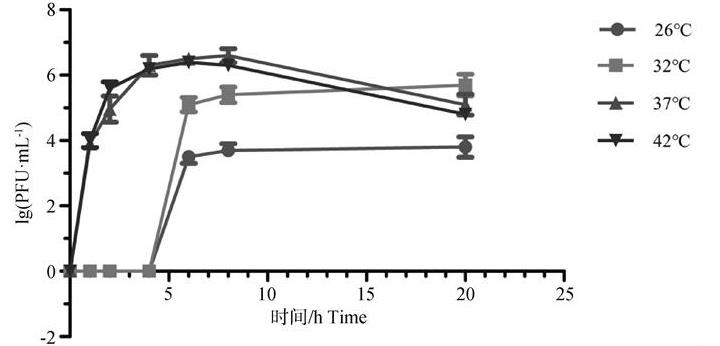 攜帶抗生素耐藥基因沙門菌P1噬菌體-質(zhì)粒效價(jià)、形態(tài)、一步生長(zhǎng)曲線及最適溫度（一）