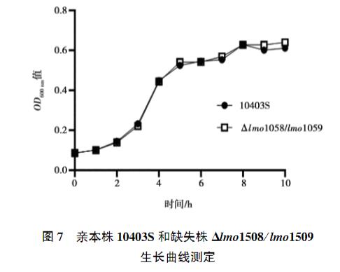 lmo1508/lmo1509基因缺失對單增李斯特菌生長曲線、抗氧化應激能力的影響（四）