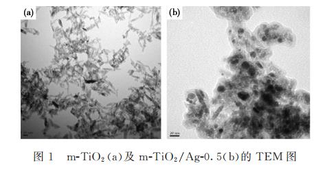 新型納米復合材料介孔m-TiO?/Ag對大腸桿菌和銅綠假單胞菌生長、抑制作用（二）