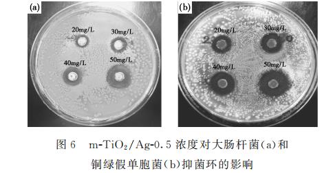 新型納米復合材料介孔m-TiO?/Ag對大腸桿菌和銅綠假單胞菌生長、抑制作用（一）