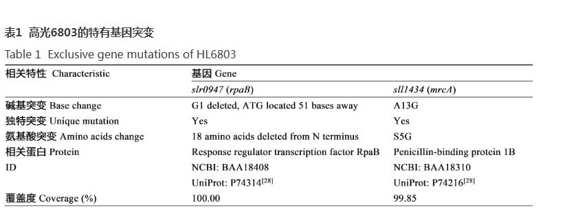 速生集胞藻6803光合放氧速率、生長(zhǎng)曲線及基因組分析（四）