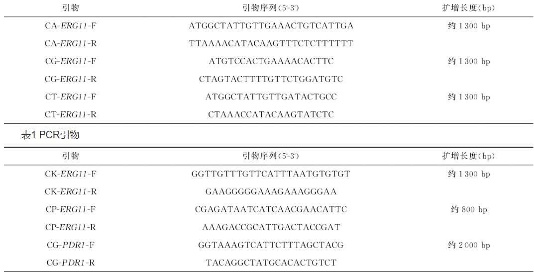 ?新疆地區(qū)侵襲性念珠菌感染菌株耐藥性特征及分子機(jī)制研究（一）