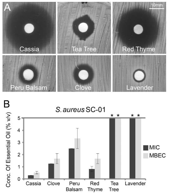 特定精油可有效根除銅綠假單胞菌和金黃色葡萄球菌生物膜（三）