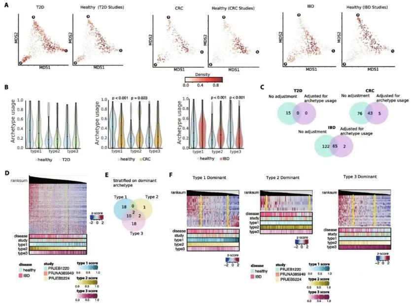 腸道微生物組功能原型的深度解析：從代謝策略到疾病關(guān)聯(lián)的突破性框架